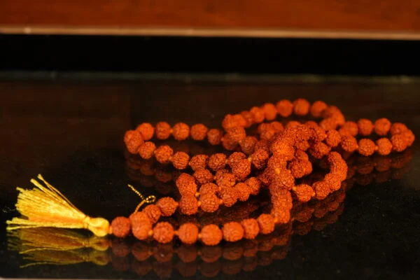 Rudrakash Mala - Image 2