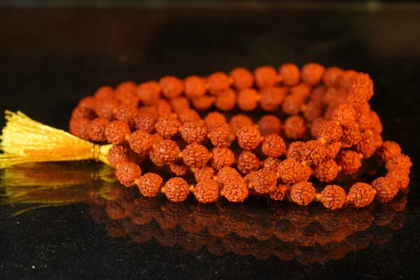 Rudrakash Mala - Image 3