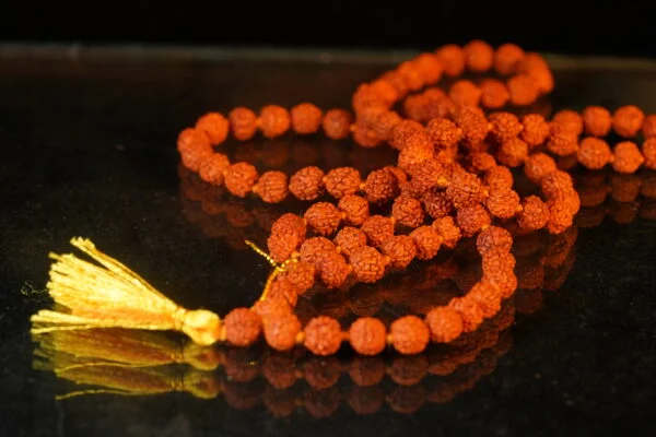 Rudrakash Mala