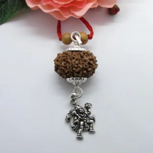 rudraksha-spl